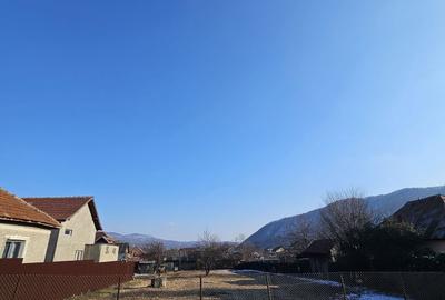 Spațiu comercial, în Jiblea Nouă - 3