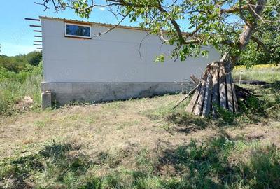 Hala pe Structura Metalica+ Casa batraneasca + 4800 m2 - 7