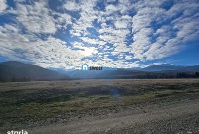 Teren de 22790 mp, în Recea - 10