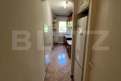 Apartament cu o camera de vanzare, parter inalt, zona linistita, zona Tudor - 2