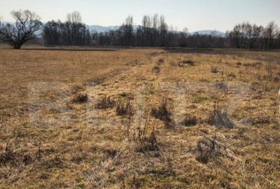 Teren extravilan de vanzare, 40 ARI, zona Racsa - 2