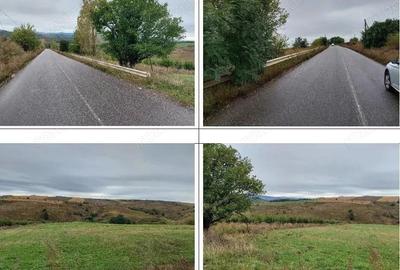 Teren extravilan pasune Ardeoani, ID: R2404618 - 8