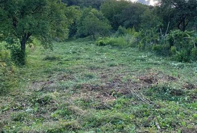 Casă cu 2 camere în Moldovenești - 5