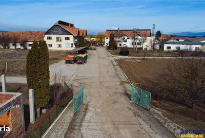 Spațiu comercial, în Boroșneu Mare - 3