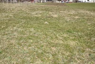 Teren agricol intravilan de 1000 mp, în Domnești - 2