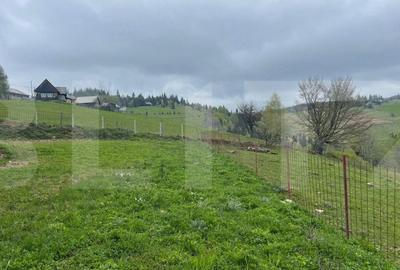 Ocazie! Casa de vacanta cu vedere la Lacul Belis - 8