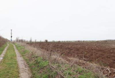 Teren agricol extravilan de 4000 mp, în Corbeanca - 5