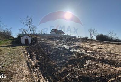 Spațiu comercial, în Tărian - 5