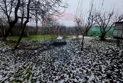 Teren Construcții intravilan de 4516 mp, în Doina - 23