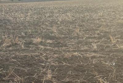 Vand teren intravilan Branesti 2500 mp, pret 70 euro/mp - 4