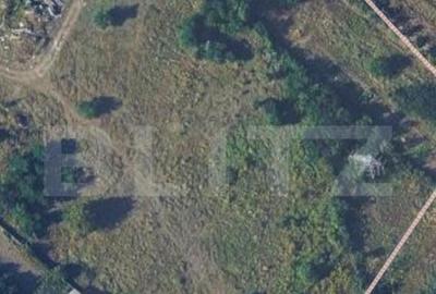 Teren intravilan 7,3 ari, zona Viisoara - 3