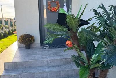 Casă în Dascălu - 2