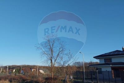 Casa unifamiliala Snagov - 9