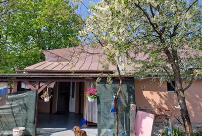 Casă cu 3 camere cu Teren 361 Mp în Sălard - 20