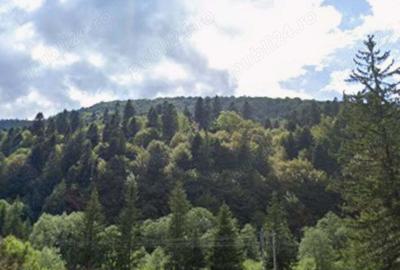 Teren de 890 mp, în Malul Ursului - 1
