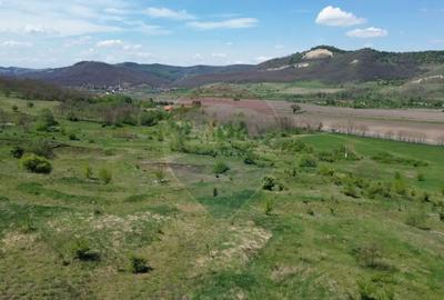 Teren de 659000 mp, în Copșa Mică - 10