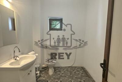 Spațiu birou/locuință– Bd. Victoriei- Parcul Sub Arini - 4