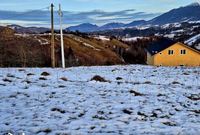 Teren de 4008 mp, în Moieciu - 1