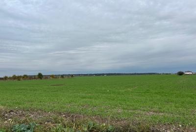 Darvari Ciorogarla Str Tineretului 2 loturi 500 mp zona in dezvoltare - 9