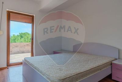 Casa CU POVESTE rezidential/ vacanta in Teliu cu 1700 mp teren! - 18