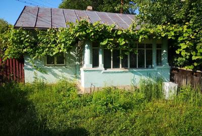 Casă cu 3 camere cu Teren 600 Mp în Soveja - 1