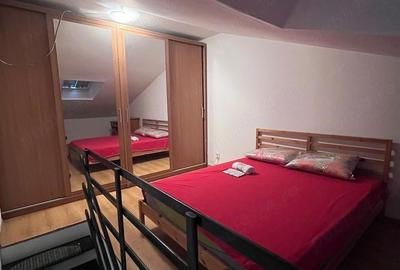 Apartament cu 2 camere semidecomandat în Tudor Vladimirescu - 2