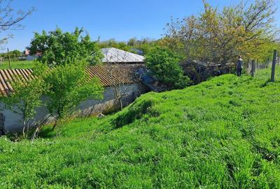 Teren de 1000 mp, în Sultana - 4