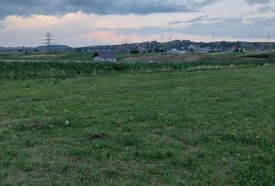 Teren de 3200 mp, în Burdujeni - 2