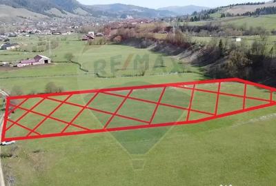 Teren de 9202 mp, în Mănăstirea Humorului - 4