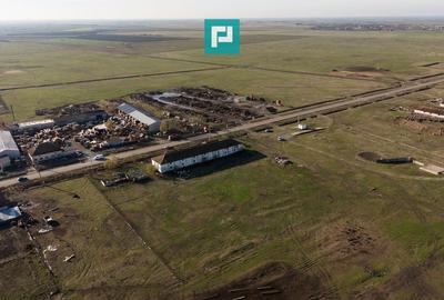 Hală industrială cu teren generos în Zărand, Arad - 52