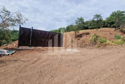 Teren intravilan intre Micesti si Sard - 2