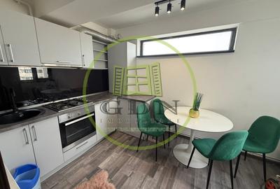 Apartament 2 camere semidecomandat, 43mp, Calea Severinului, zona Mall Promenada - 5