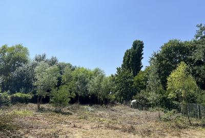 Teren Manastirea Snagov. Deschidere lac 22 m. Front stradal 30 metri. Teren Manastirea Snagov. Deschidere lac 22 m. Front stradal 30 metri. - 4