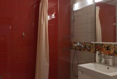 Decebal 3 Camere Decomandat Pet Friendly - 12