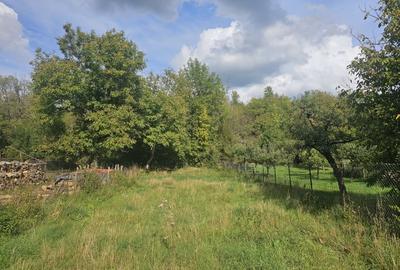 Casa de vacanta in rosu + 6400 mp teren - 4