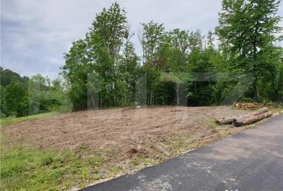 Teren de 923 mp, în Bucium - 2