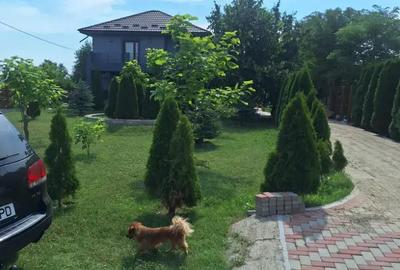 Casă cu 4 camere în Sculeni - 8