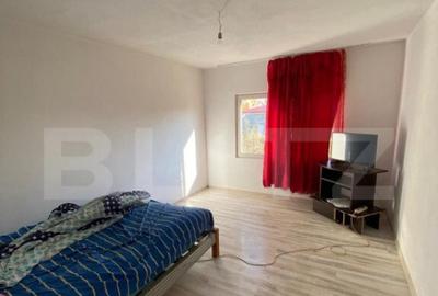 Casa de vanzare Livezile cu 5 arii de teren. - 6