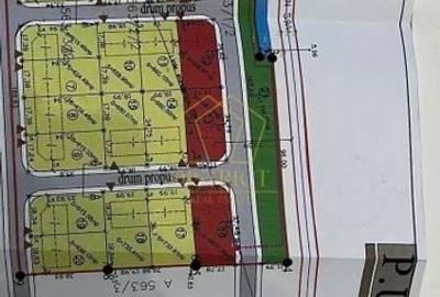 Teren intravilan pentru locuinte 7788 mp I Sacalaz - 2