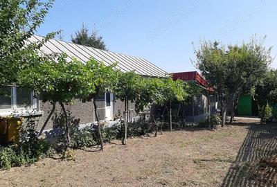 Casă cu 4 camere cu Teren 317 Mp în Central - 1