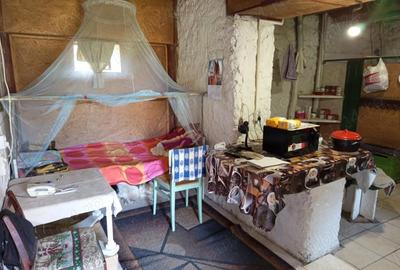 Casă cu 2 camere în Ilidia - 4