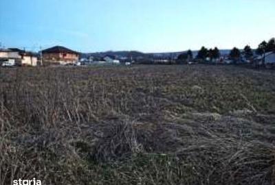 Teren de 1000 mp, în Tomești - 8