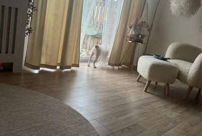 Casă cu 3 camere în Pițigaia - 2