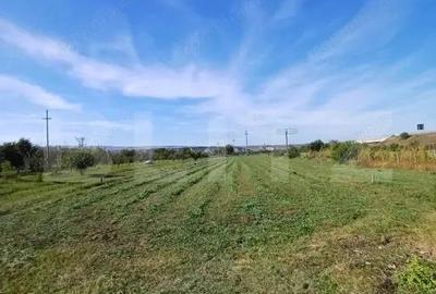 Teren extravilan, cu CF, 2963 mp, in Mihai Viteazu - 2