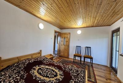 Vila superba de vanzare in Vintila Voda, Buzau D+P+1 si anexe - 33