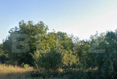 Teren 3994 mp, zona metropolitana Simnicul de Sus - 1