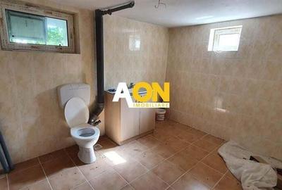 1/2 Duplex, 4 camere, garaj, 175 mp teren, Cetate - 14