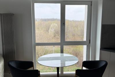 Apartament cu 2 camere semidecomandat, mobilat în Podul de Fier - 9