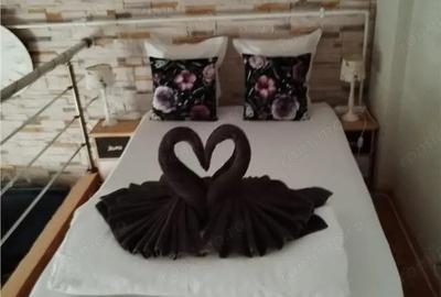 Casa open space in Centru Vechi Casa open space in Centru Vechi - 1