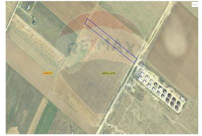 Teren de 5000 mp, în Nord - 4